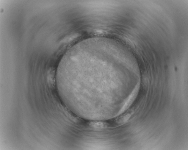 X0000089380181200707061148