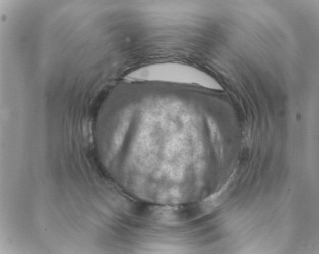 X0000089380182200707061148