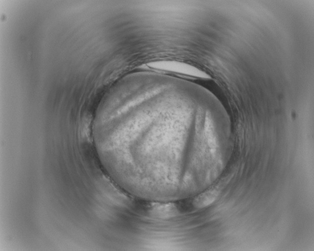 X0000089380185200707061148