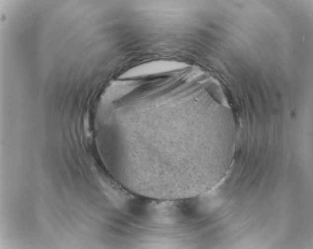 X0000089380186200707061148