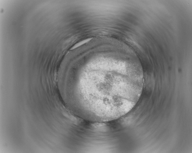 X0000089380189200707061148