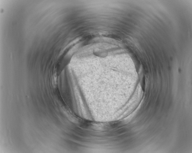 X0000089380190200707061148