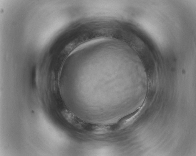 X0000089380191200707061148