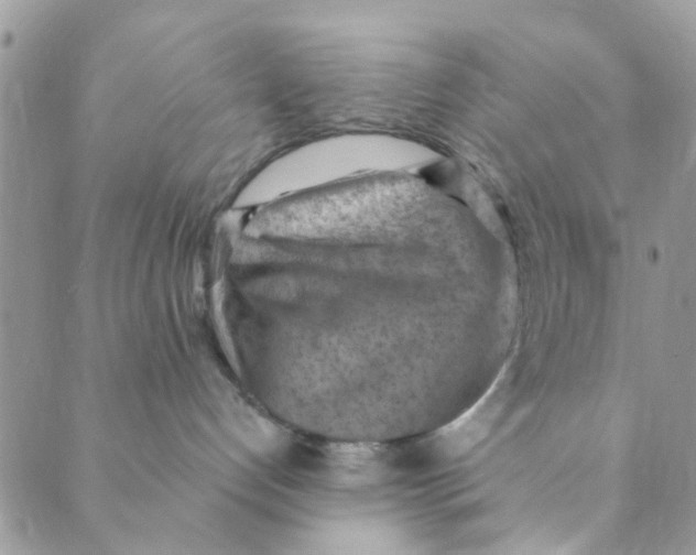 X0000089380192200707061148