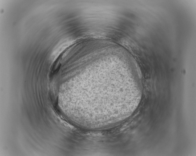 X0000089380194200707061147