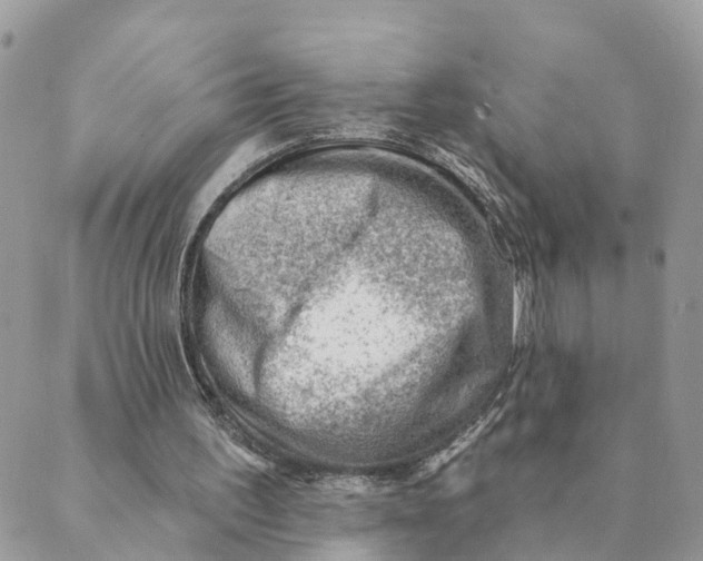 X0000089380195200707061147