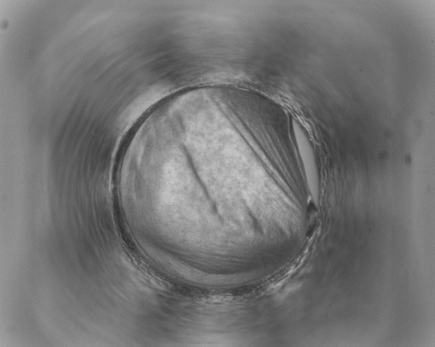 X0000089380196200707061147