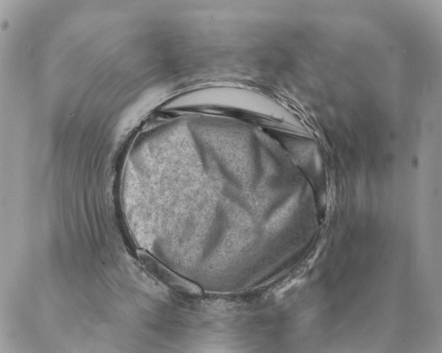 X0000089380197200707061147