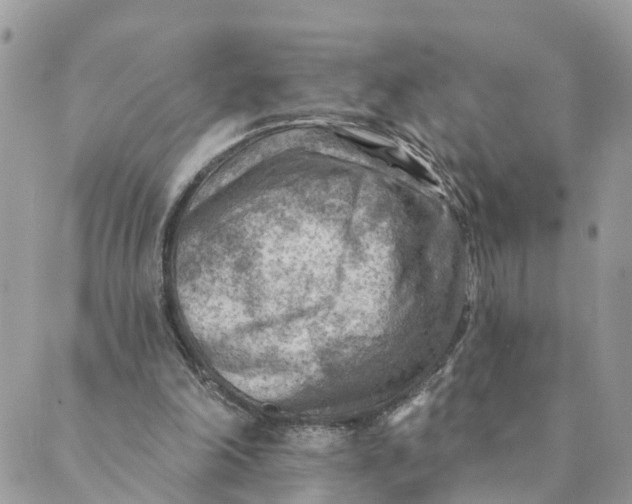 X0000089380198200707061147