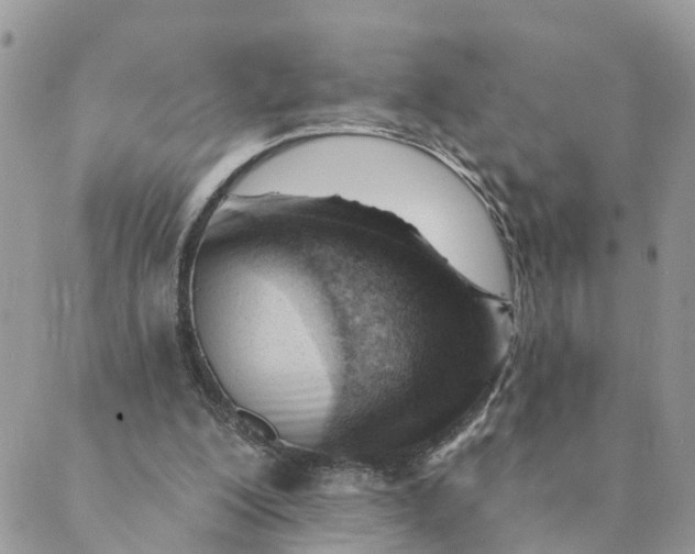 X0000089380200200707061147