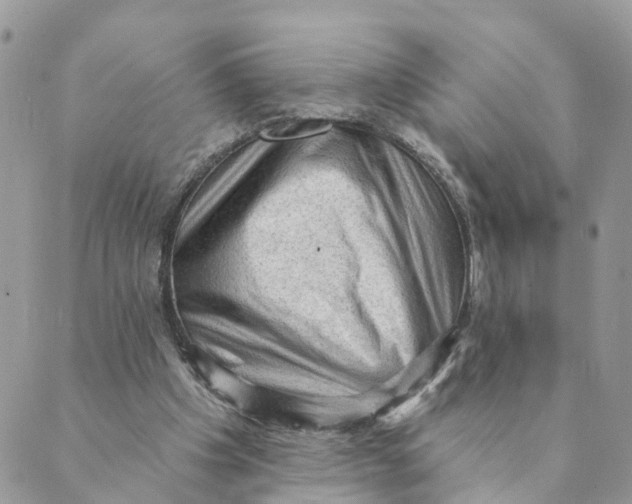 X0000089380201200707061147