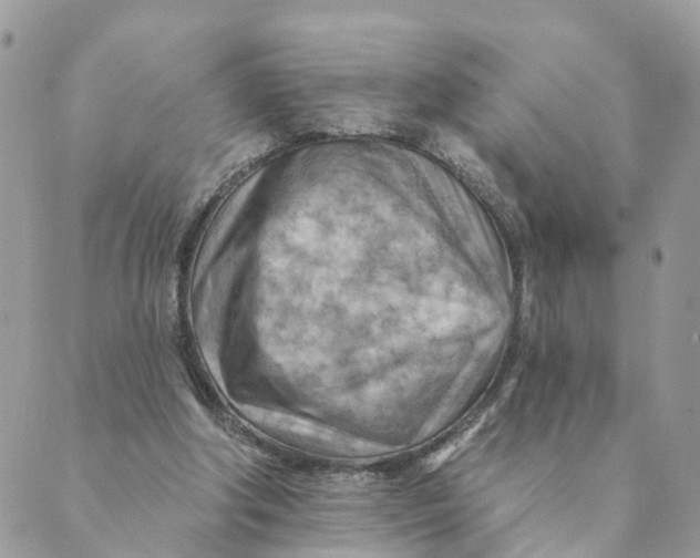 X0000089380202200707061147