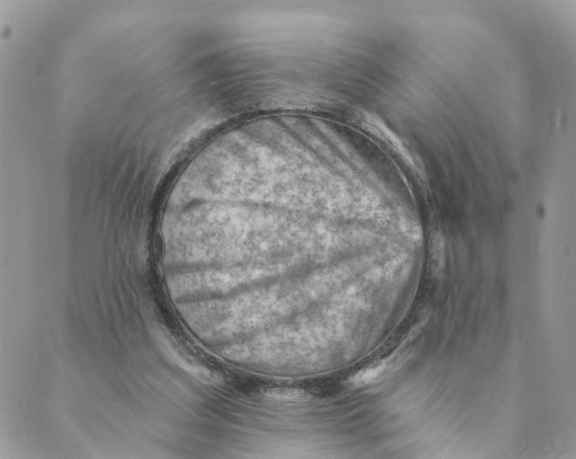 X0000089380203200707061147