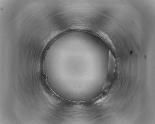 X0000089380204200707061147