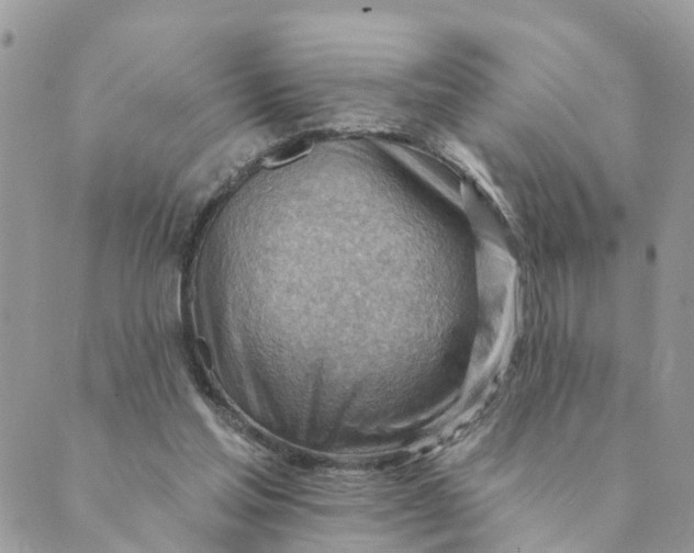 X0000089380205200707061147