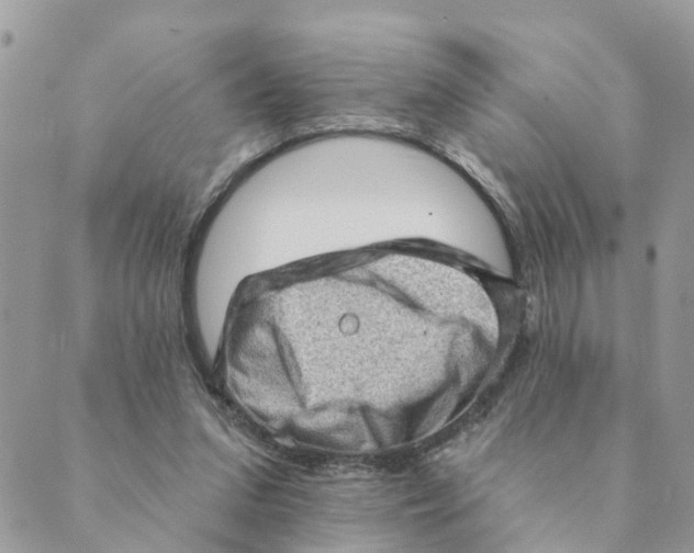 X0000089380207200707061147