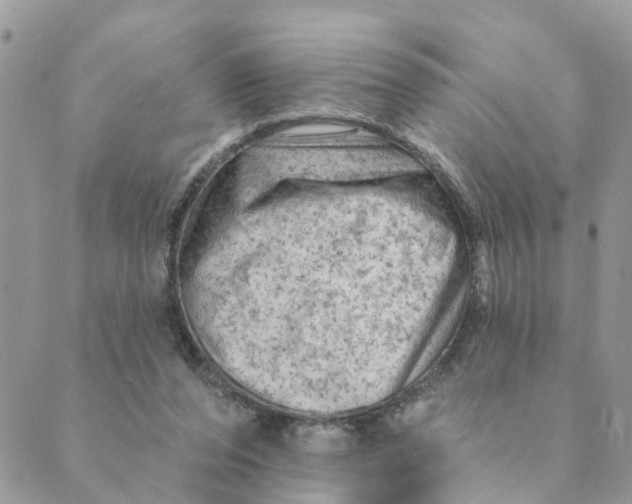 X0000089380208200707061147