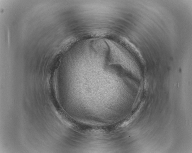 X0000089380209200707061147