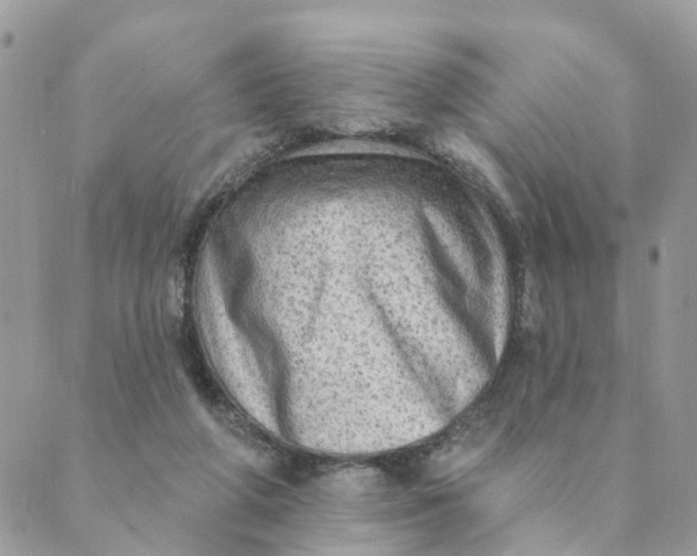 X0000089380210200707061147