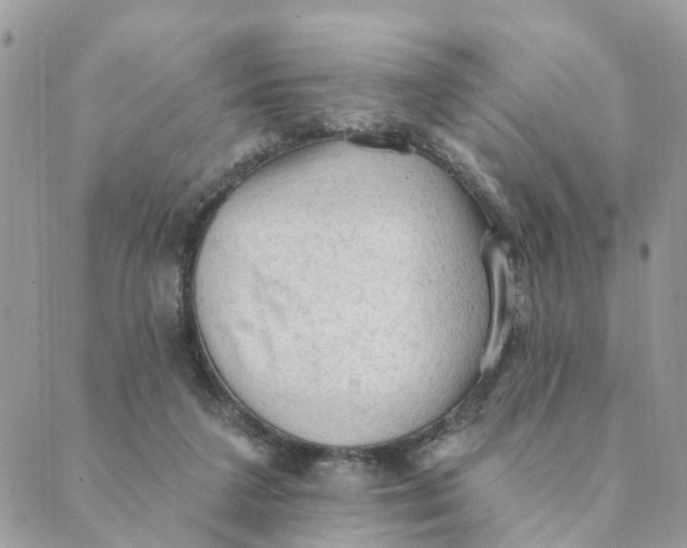 X0000089380211200707061147