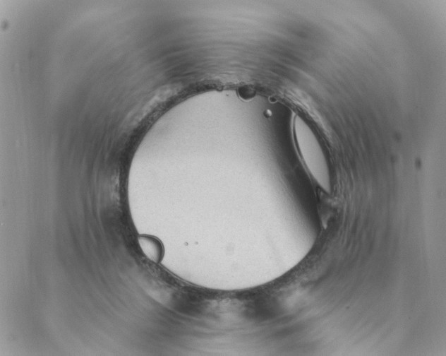 X0000089380212200707061147