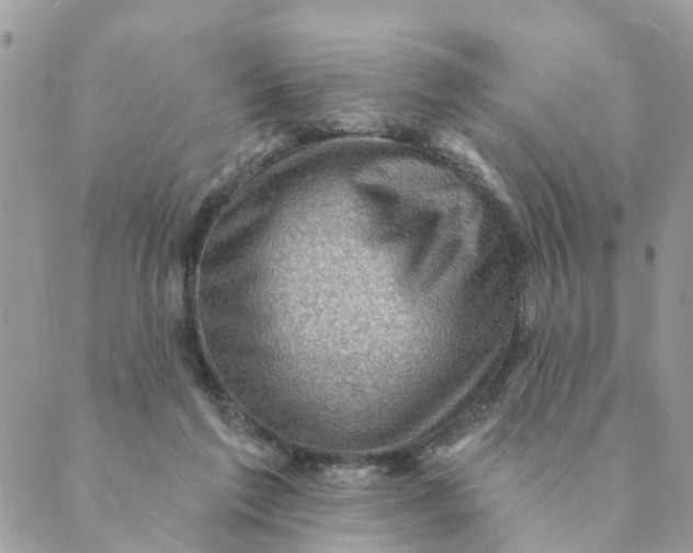 X0000089380213200707061147