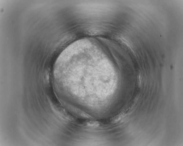 X0000089380214200707061147