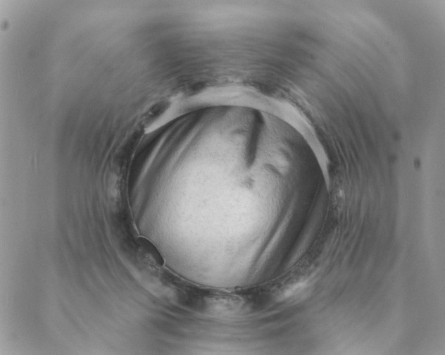 X0000089380215200707061147