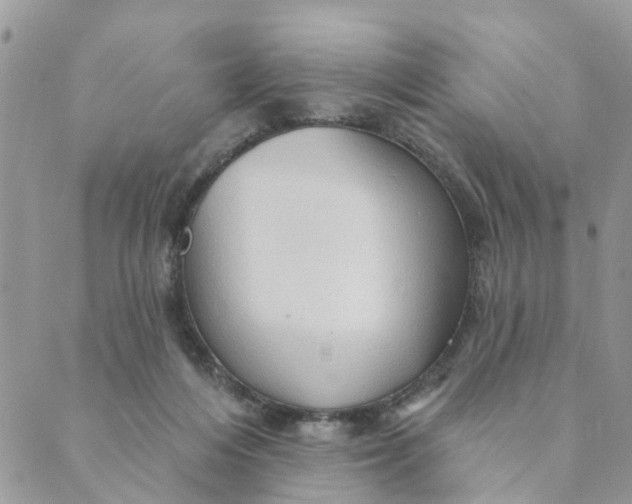 X0000089380216200707061147