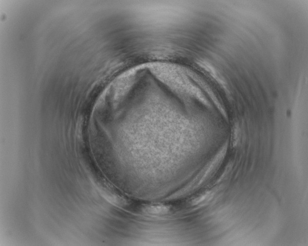 X0000089380217200707061147