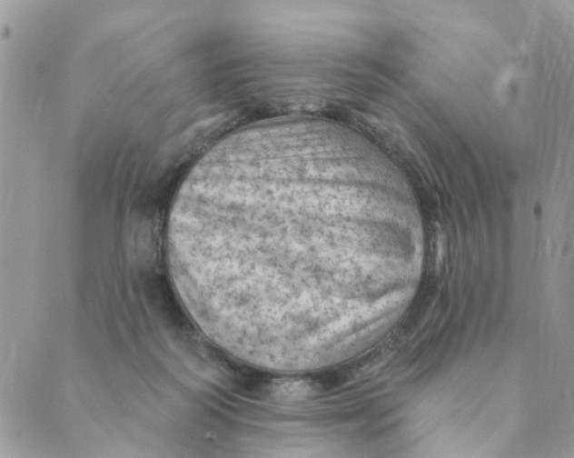 X0000089380218200707061147