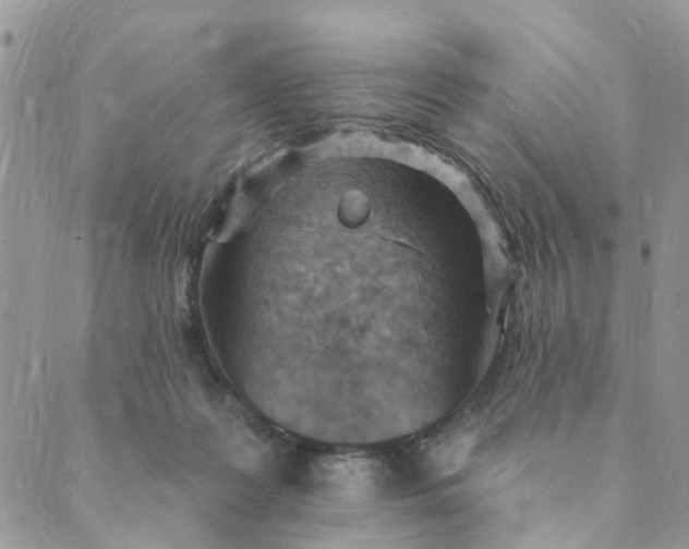 X0000089380219200707061147