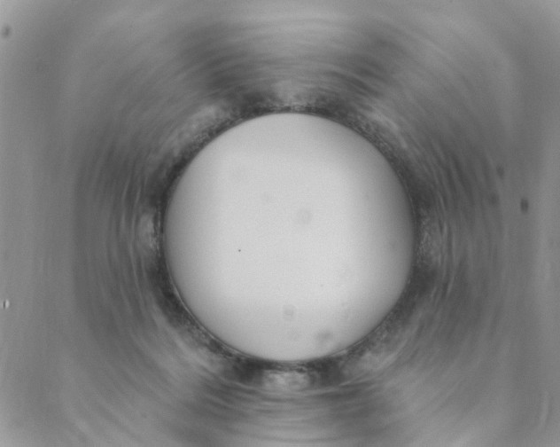 X0000089380220200707061147