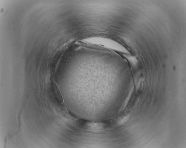 X0000089380221200707061147