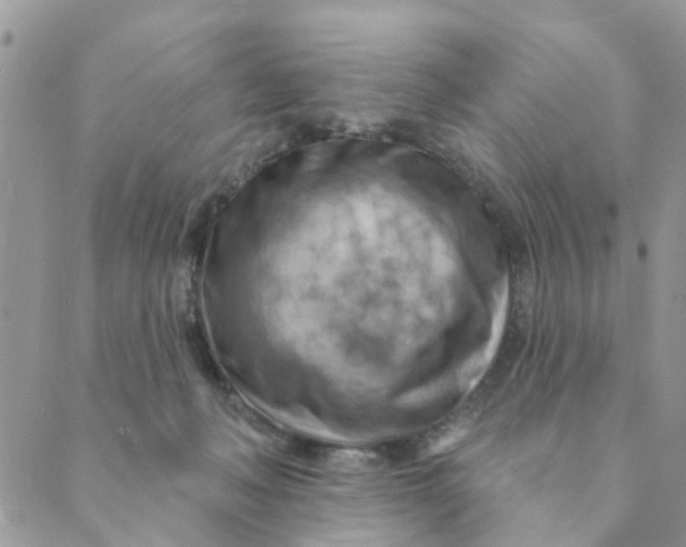 X0000089380222200707061147