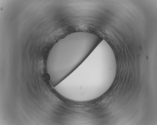 X0000089380223200707061147