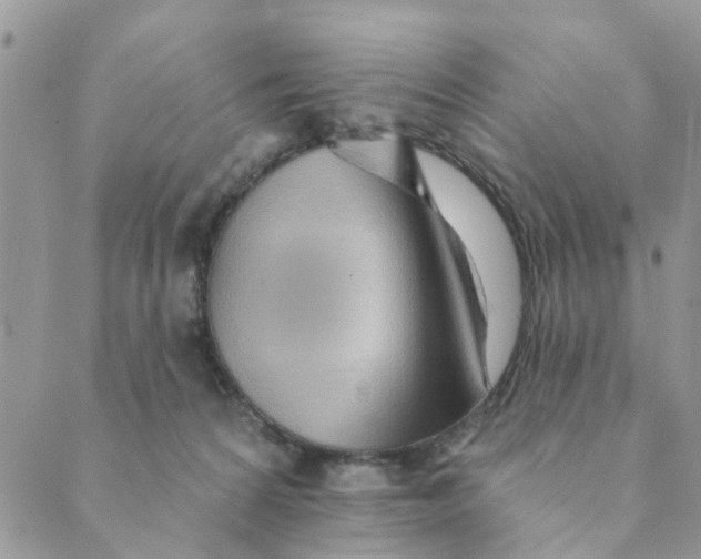 X0000089380224200707061147