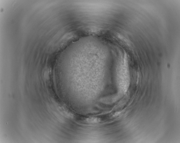 X0000089380225200707061147