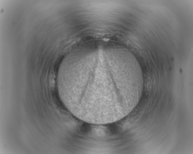 X0000089380226200707061147