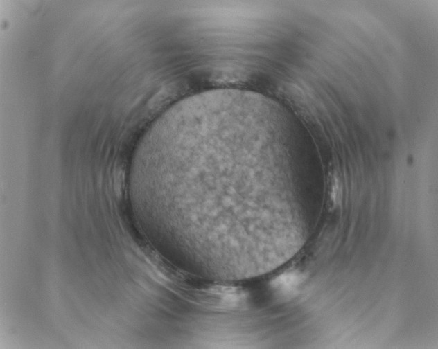 X0000089380227200707061147