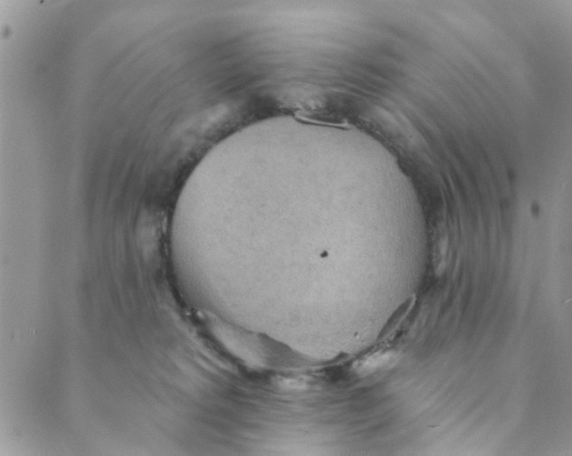 X0000089380229200707061147