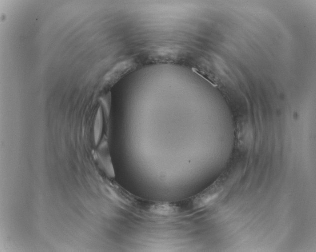 X0000089380231200707061147