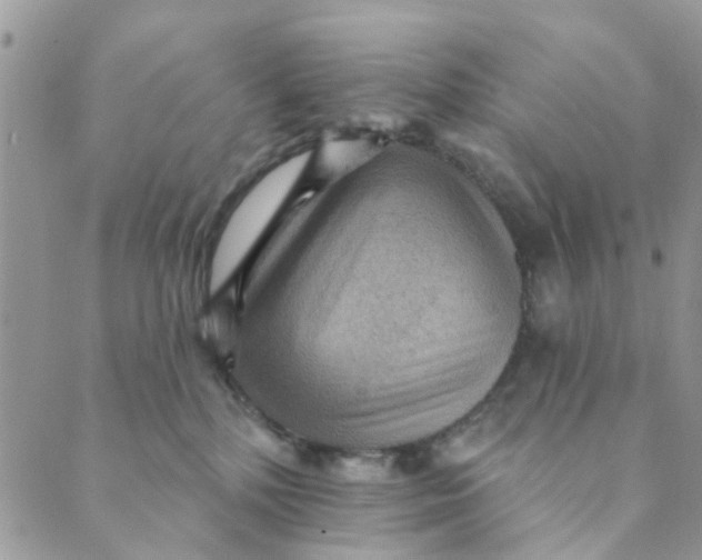 X0000089380232200707061147