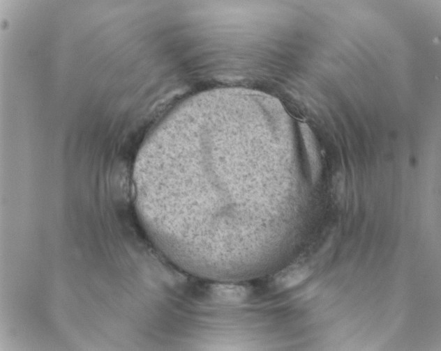 X0000089380234200707061147