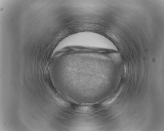 X0000089380237200707061147