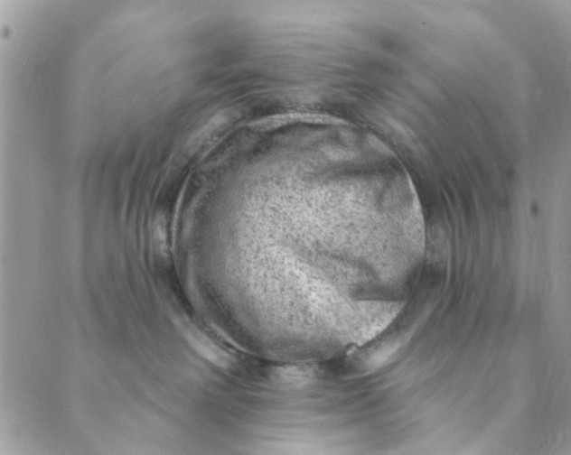 X0000089380238200707061147