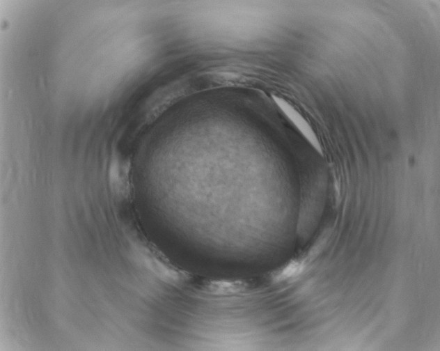 X0000089380239200707061147