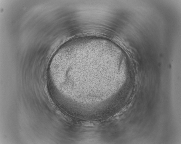 X0000089380241200707061146