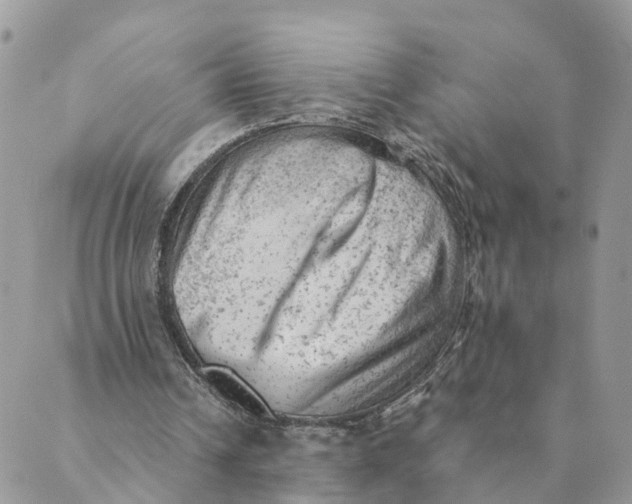 X0000089380242200707061146