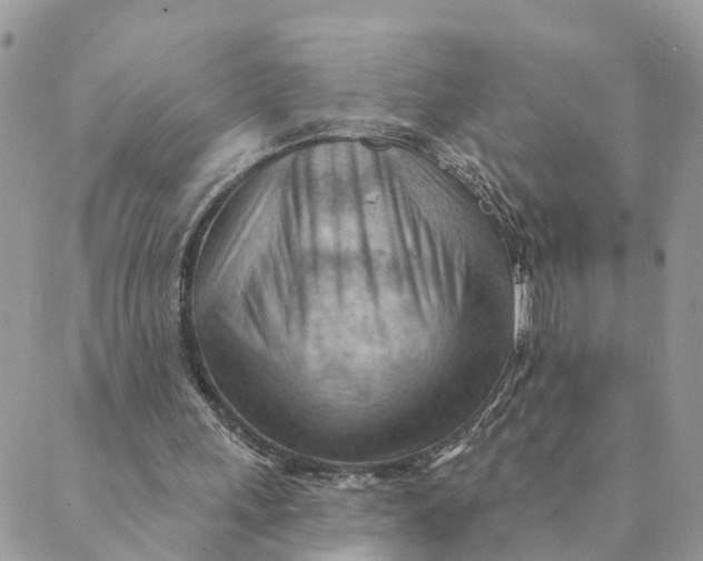 X0000089380243200707061146